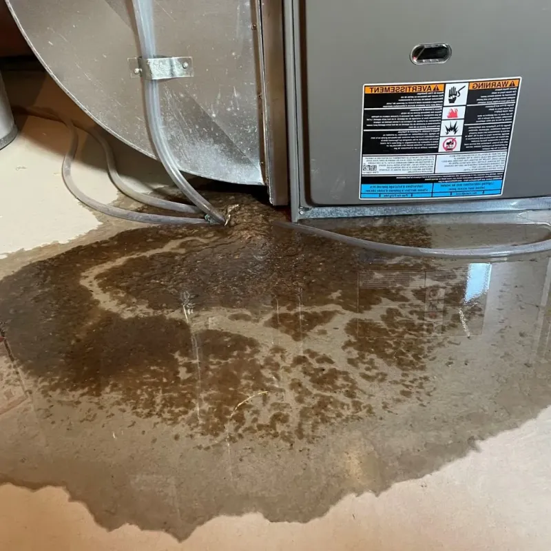 Pipe Burst and Leak Restoration in Easton, MA