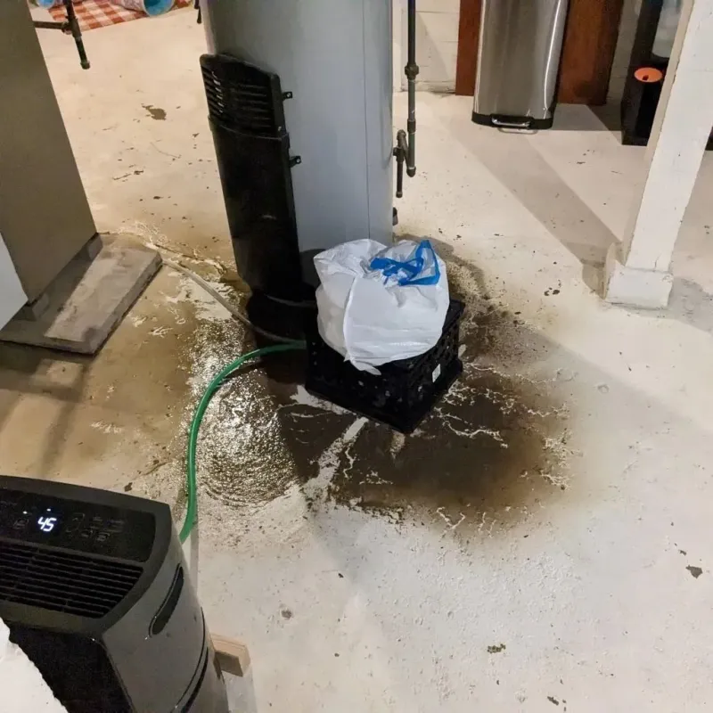Sewage Backup Cleanup Service in Easton, MA